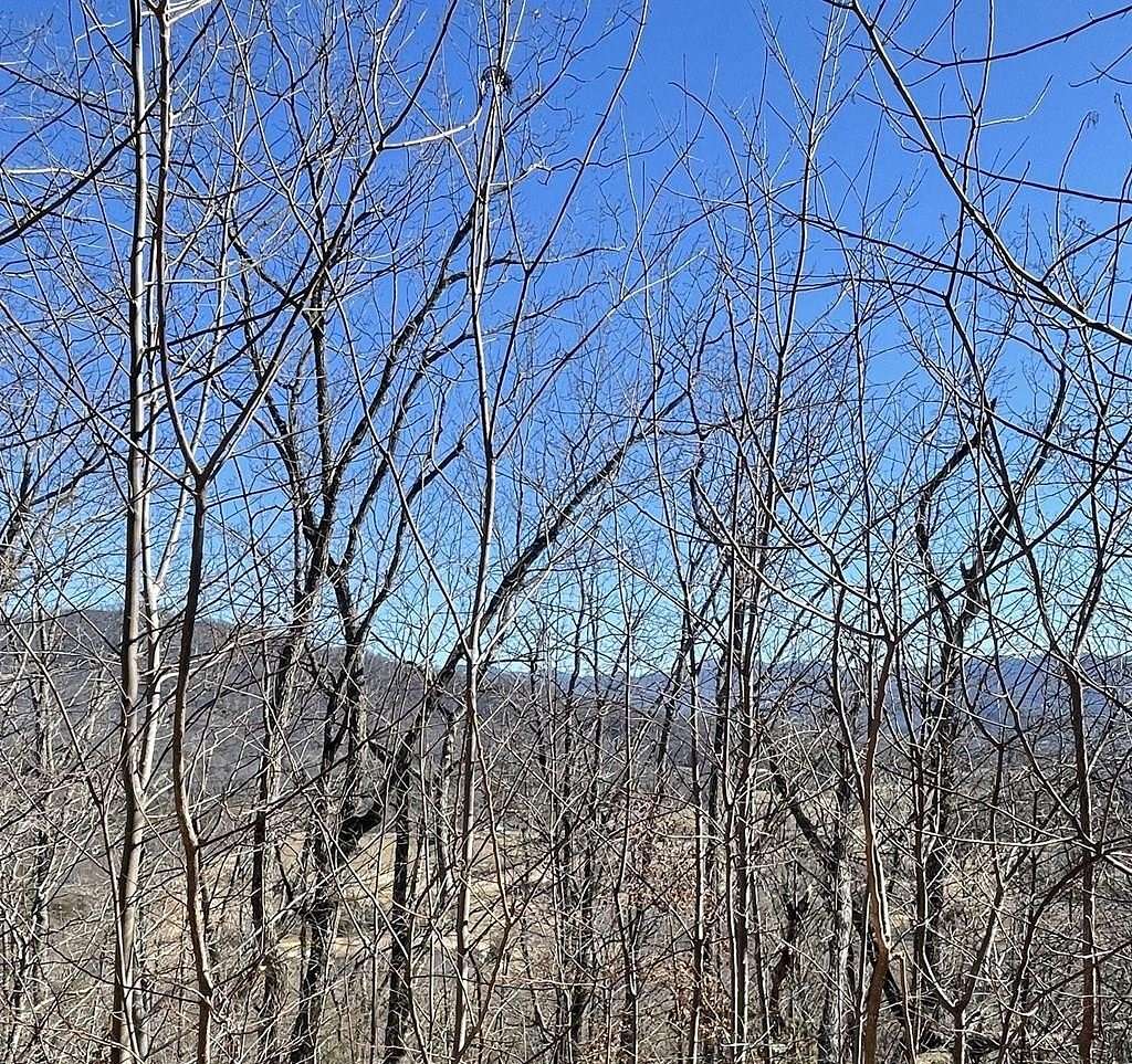 6 Acres of Land for Sale in Hayesville, North Carolina