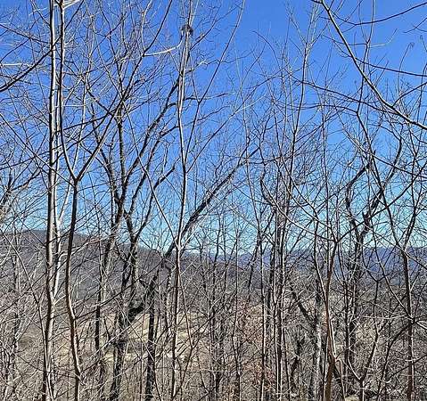 6 Acres of Land for Sale in Hayesville, North Carolina
