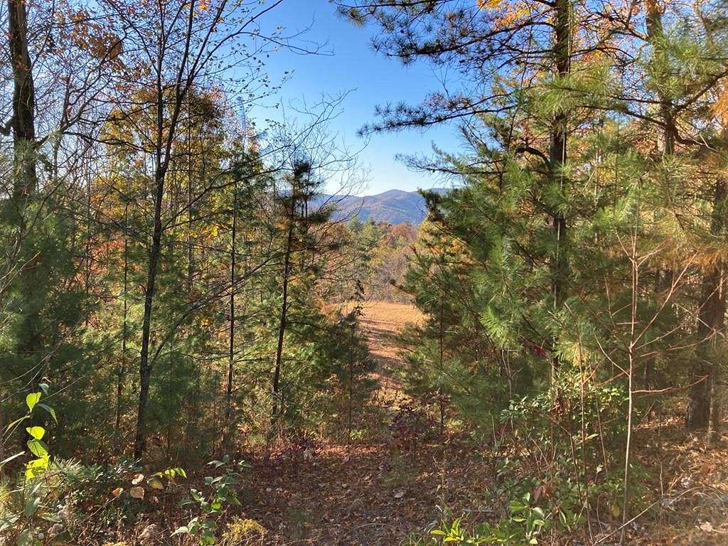 Land for Sale in Murphy, North Carolina