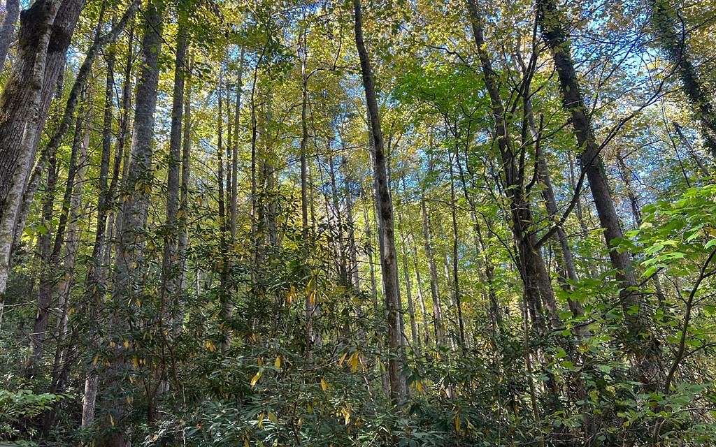 9.98 Acres of Land for Sale in Hayesville, North Carolina