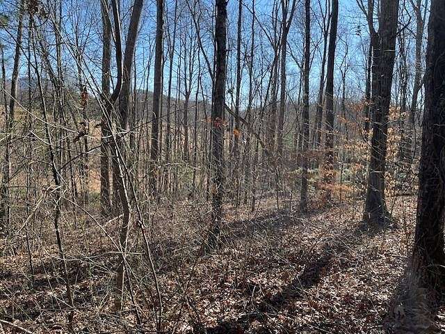 0.37 Acres of Land for Sale in Hayesville, North Carolina