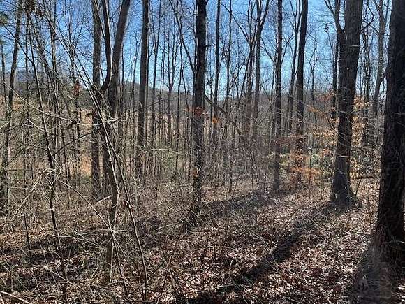 0.37 Acres of Land for Sale in Hayesville, North Carolina