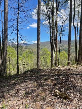 Residential Land for Sale in Robbinsville, North Carolina