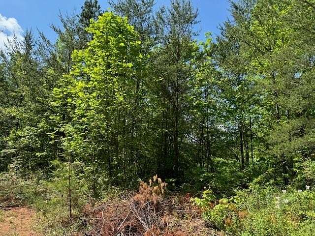 1.76 Acres of Residential Land for Sale in Marble, North Carolina