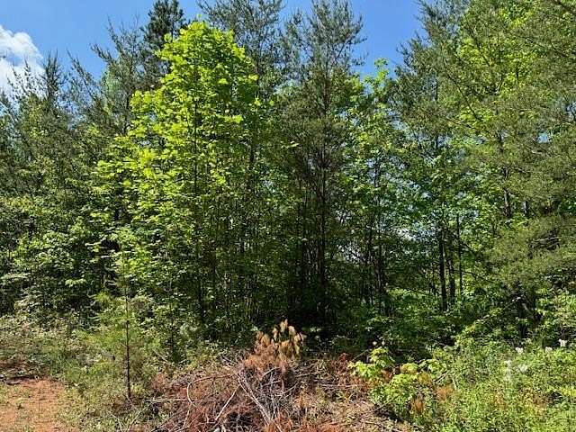 1.76 Acres of Residential Land for Sale in Marble, North Carolina