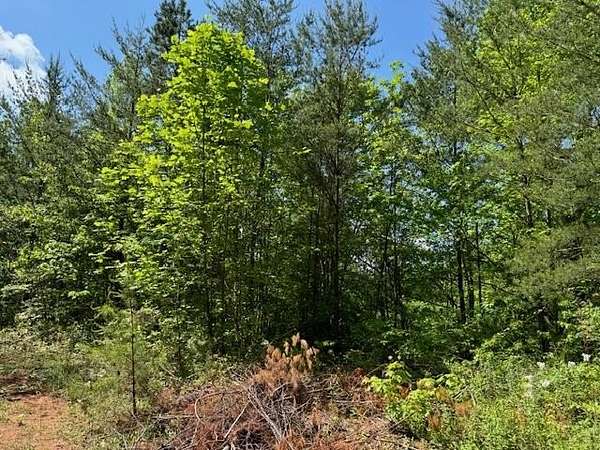1.76 Acres of Residential Land for Sale in Marble, North Carolina