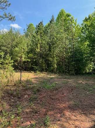 Residential Land for Sale in Marble, North Carolina