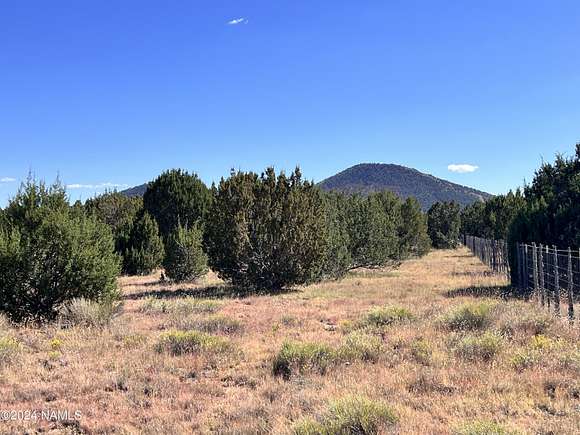 9.07 Acres of Land for Sale in Williams, Arizona