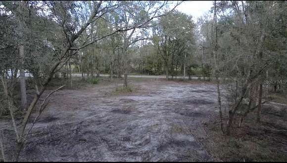 4.38 Acres of Residential Land for Sale in Thonotosassa, Florida