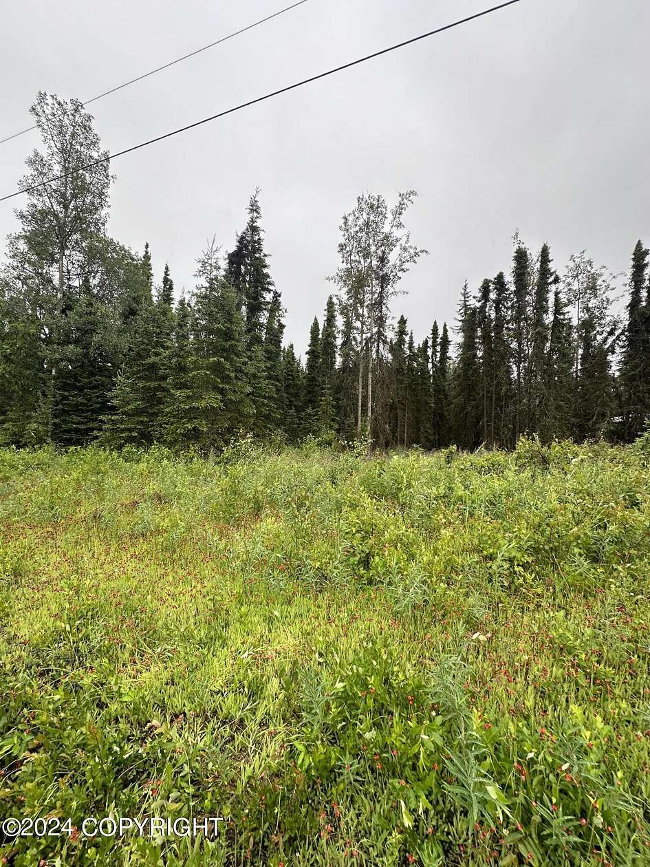 0.51 Acres of Land for Sale in Kenai, Alaska