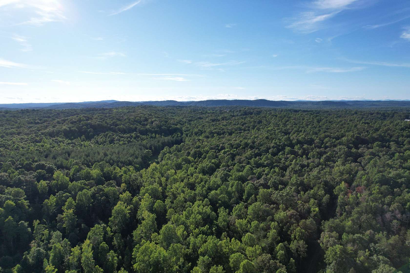 44 Acres of Recreational Land for Sale in Toccoa, Georgia