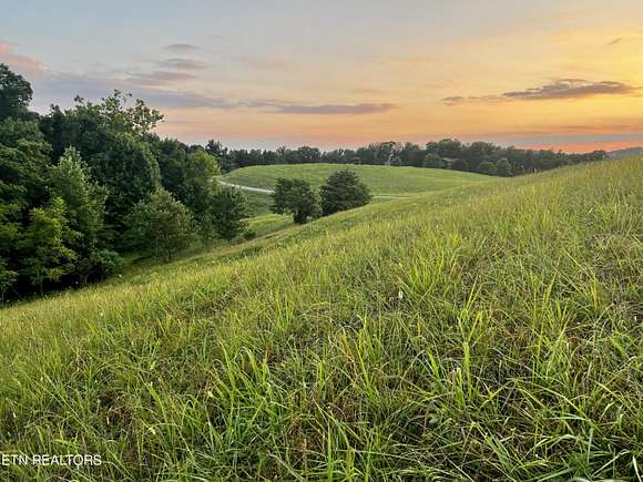 0.84 Acres of Residential Land for Sale in New Tazewell, Tennessee