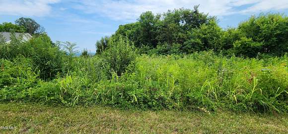 0.6 Acres of Residential Land for Sale in Russellville, Tennessee