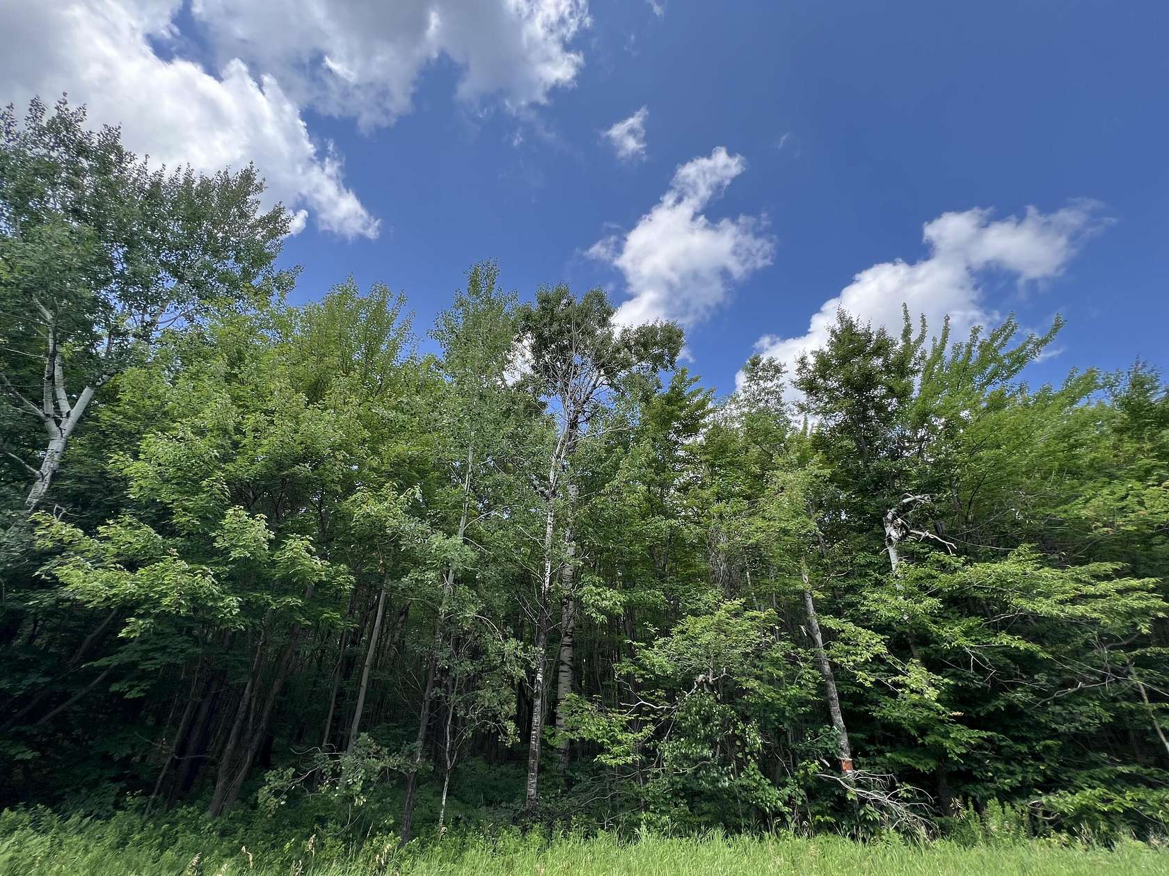 88 Acres of Recreational Land for Sale in Churubusco, New York