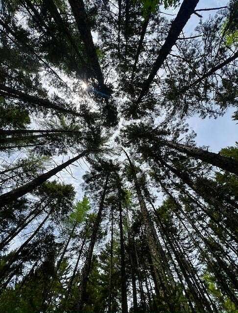 10.8 Acres of Land for Sale in Rangeley, Maine