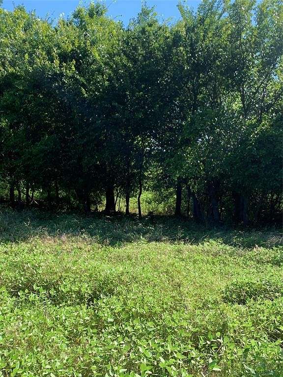 619.47 Acres of Recreational Land & Farm for Sale in Newcastle, Texas