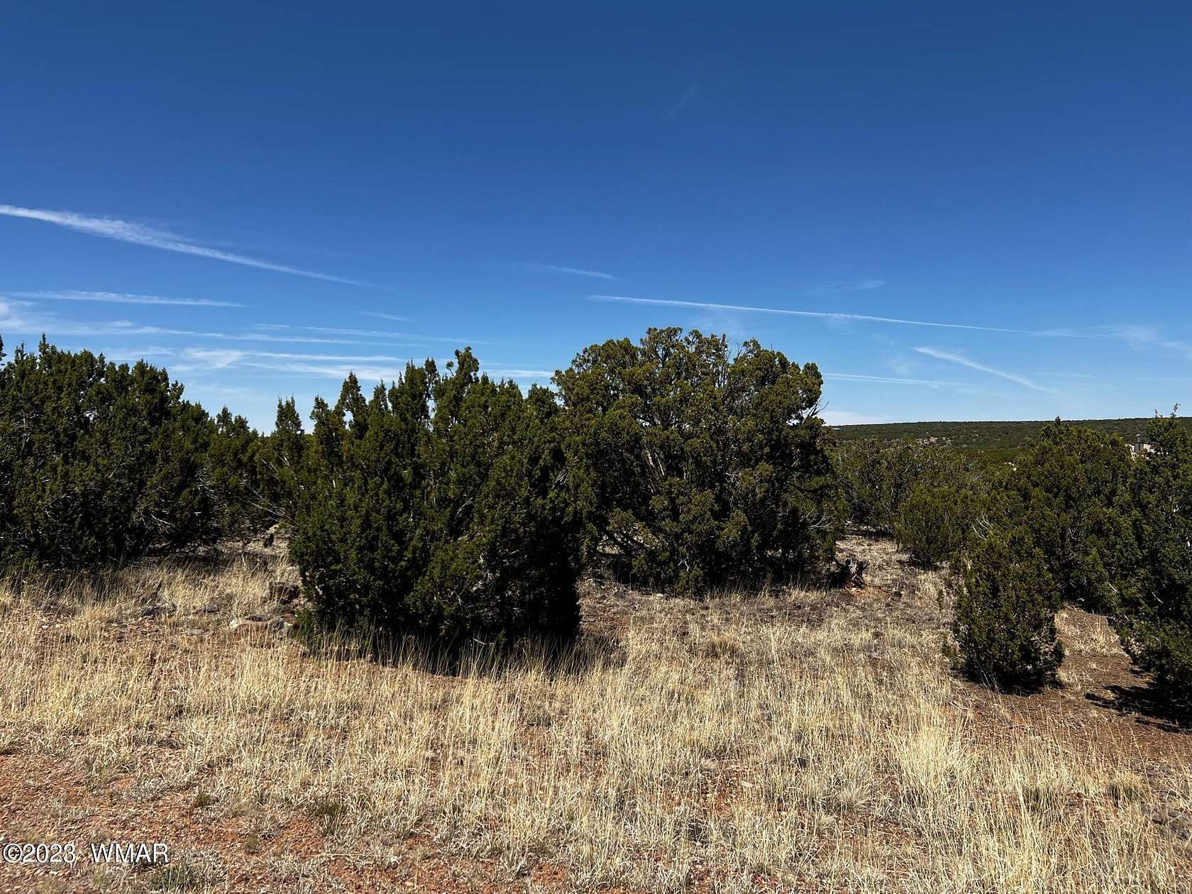 1.51 Acres of Residential Land for Sale in White Mountain Lake, Arizona