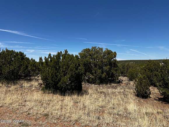 1.51 Acres of Residential Land for Sale in White Mountain Lake, Arizona