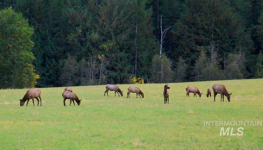 6.03 Acres of Land for Sale in Donnelly, Idaho