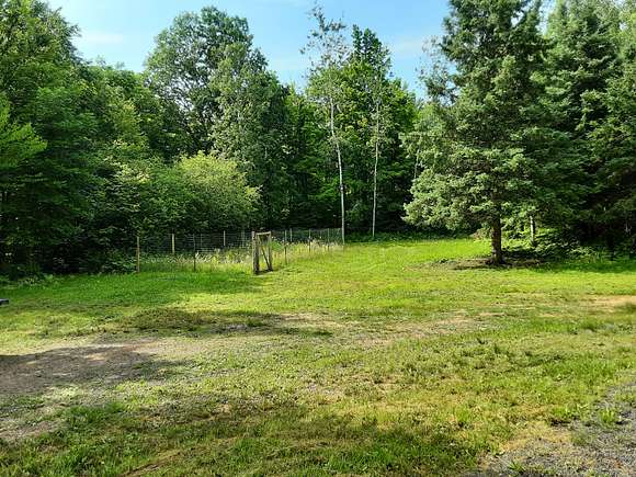 Clearing with a 60x40 fenced in garden