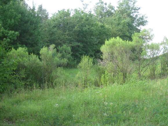 33 Acres of Recreational Land for Sale in Texarkana, Arkansas