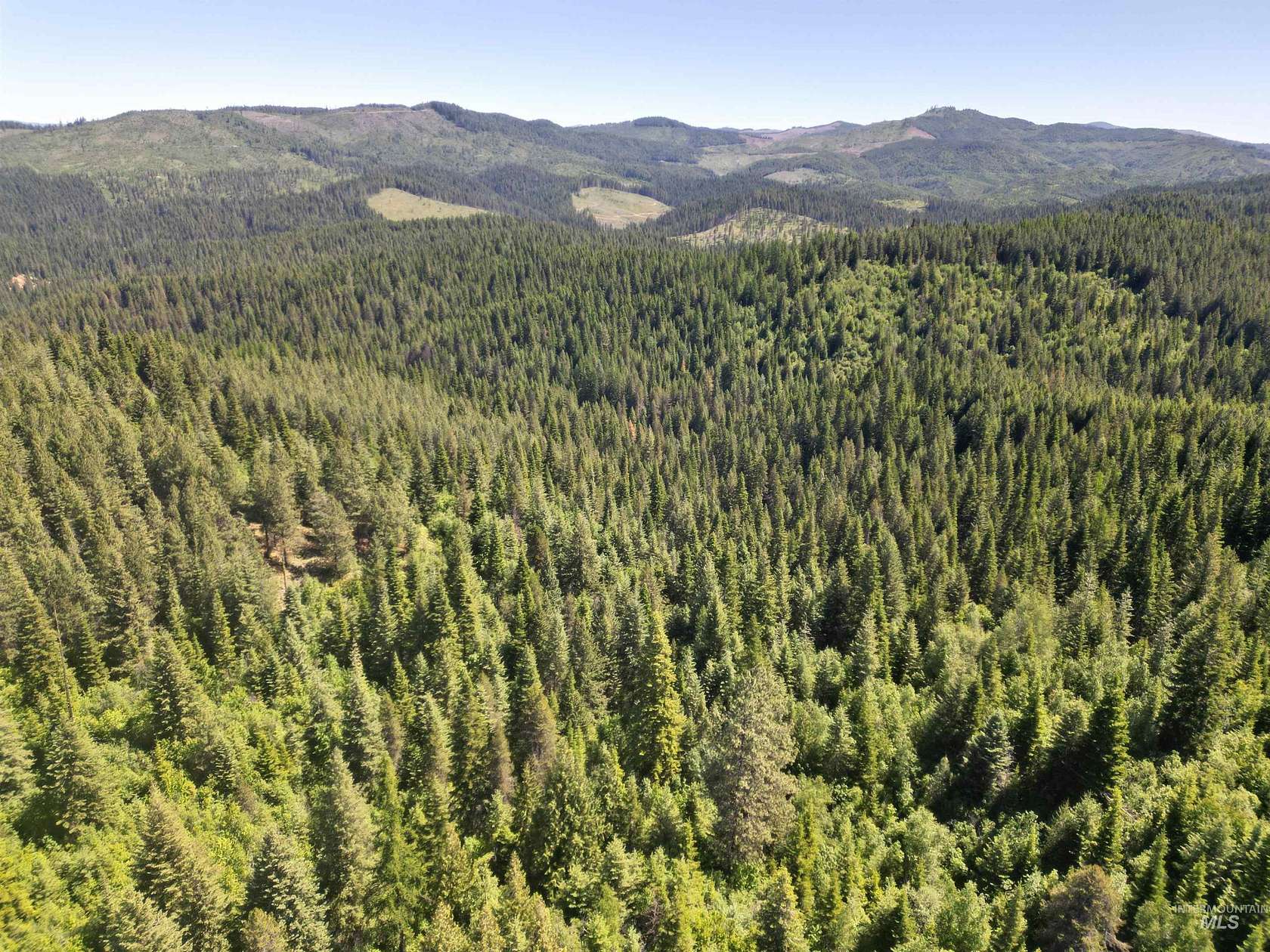 80 Acres of Recreational Land for Sale in Bovill, Idaho