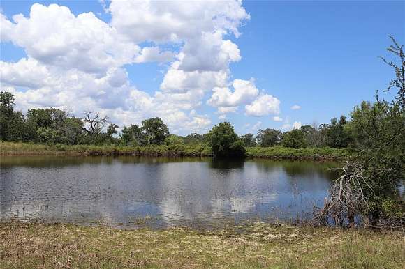 51 Acres of Recreational Land for Sale in Chico, Texas
