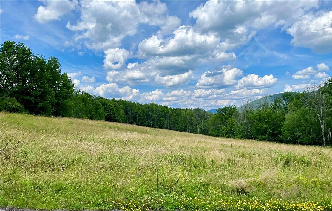 5 Acres of Land for Sale in Roxbury, New York