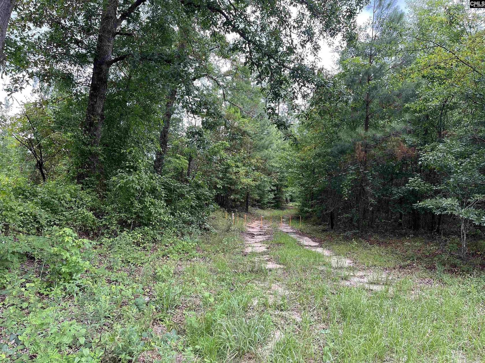 98 Acres of Land for Sale in North, South Carolina