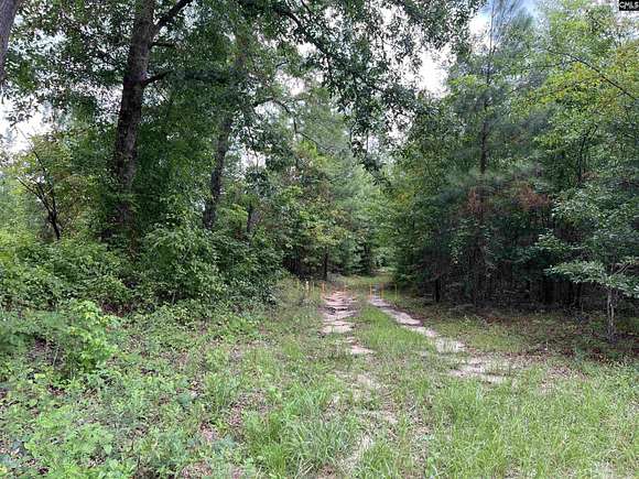 98 Acres of Land for Sale in North, South Carolina