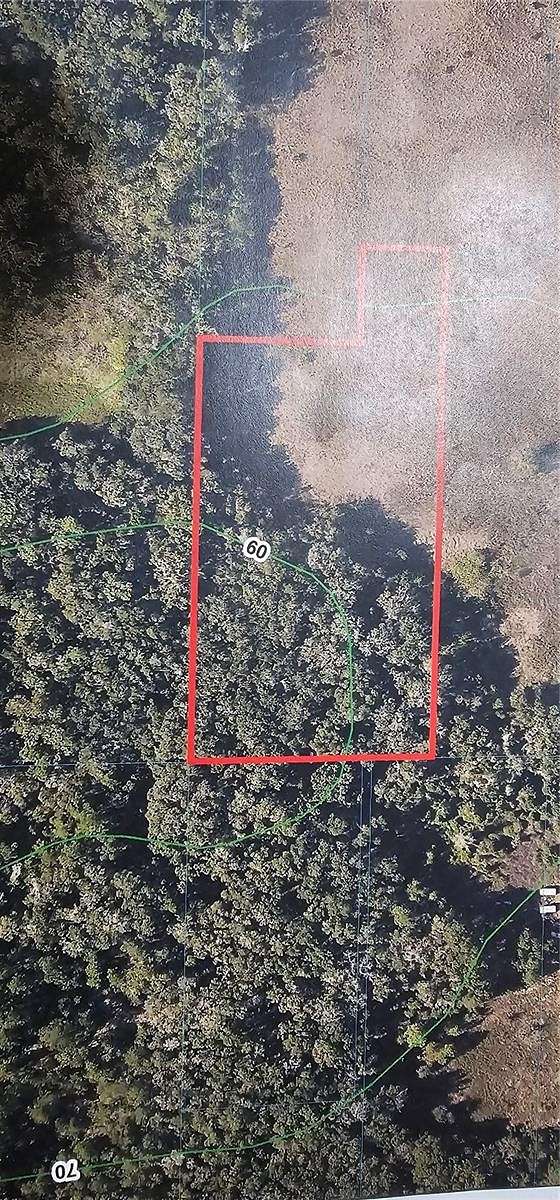 3.62 Acres of Residential Land for Sale in Ocala, Florida