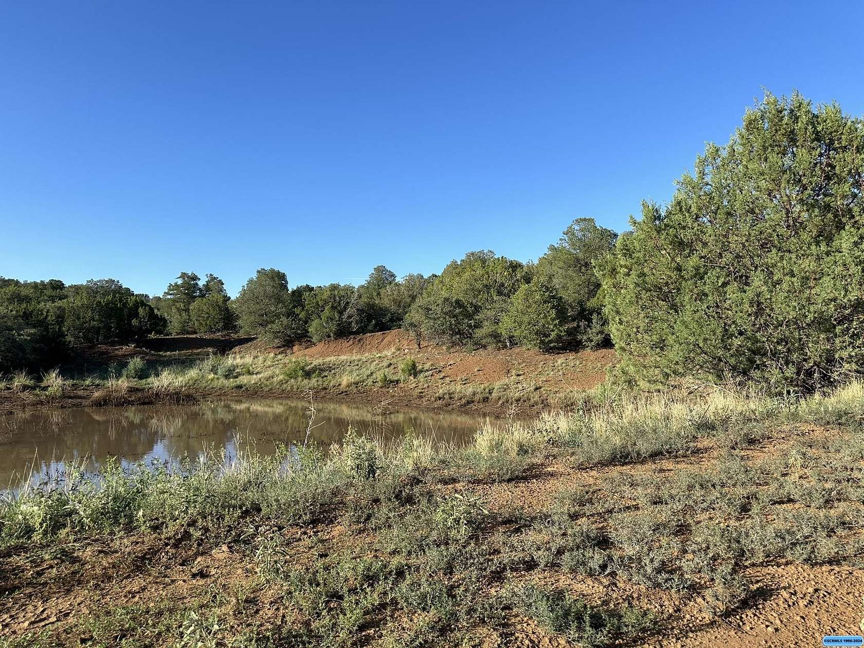 193.47 Acres of Recreational Land & Farm for Sale in Silver City, New Mexico