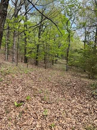 11.62 Acres of Recreational Land for Sale in West Fork, Arkansas