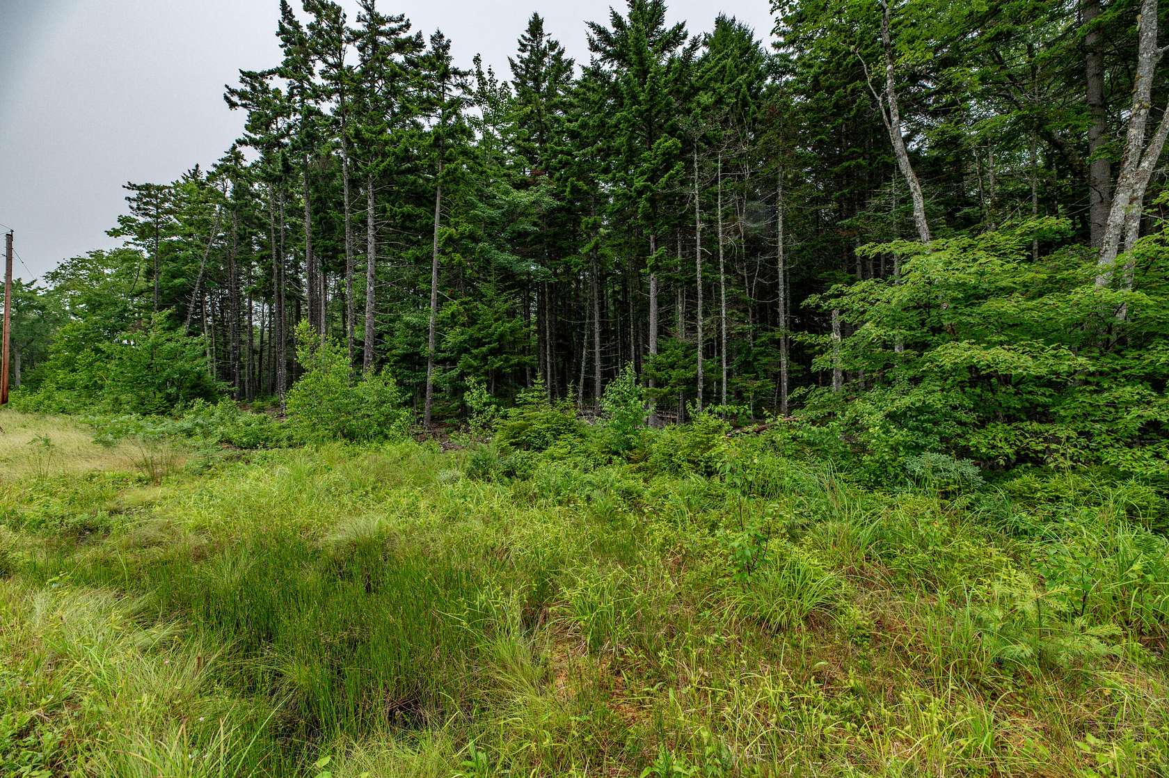 2.98 Acres of Residential Land for Sale in Steuben, Maine