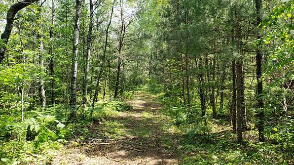 Get-Away Acreage Northern WI.
