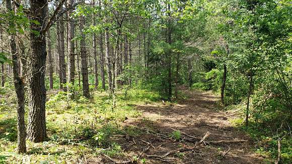 6.51 Acres of Land for Sale in Tomahawk, Wisconsin