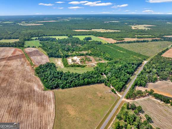 118.39 Acres of Agricultural Land for Sale in Whigham, Georgia