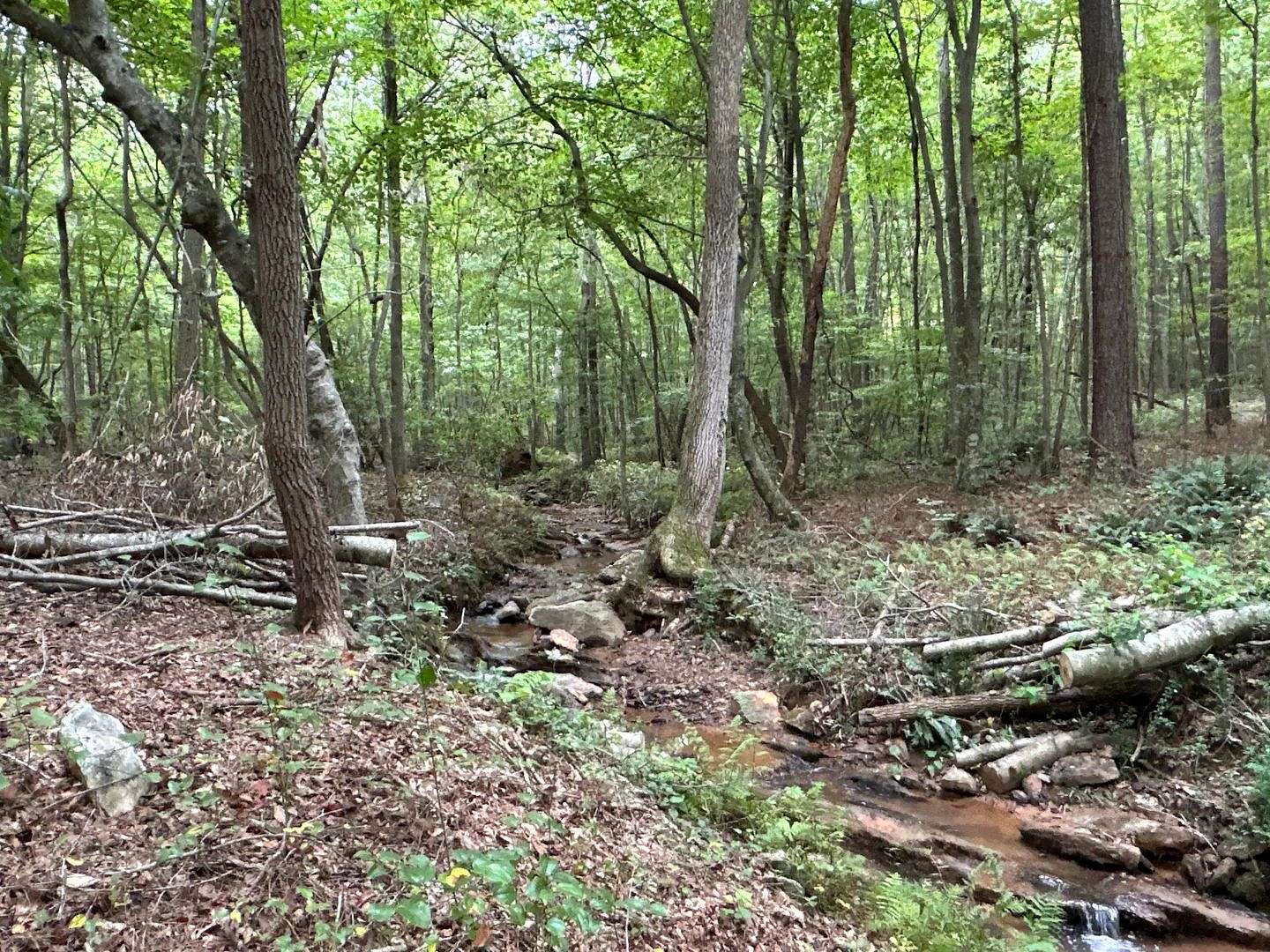 32.4 Acres of Land for Sale in Bremen, Georgia