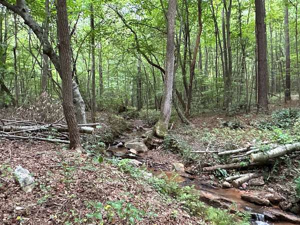 32.4 Acres of Land for Sale in Bremen, Georgia