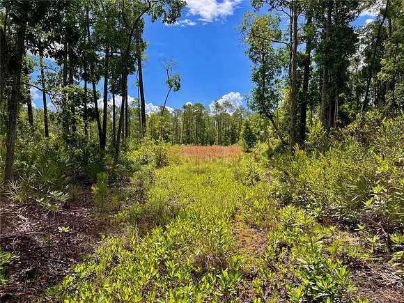 13.83 Acres of Land for Sale in Crescent City, Florida