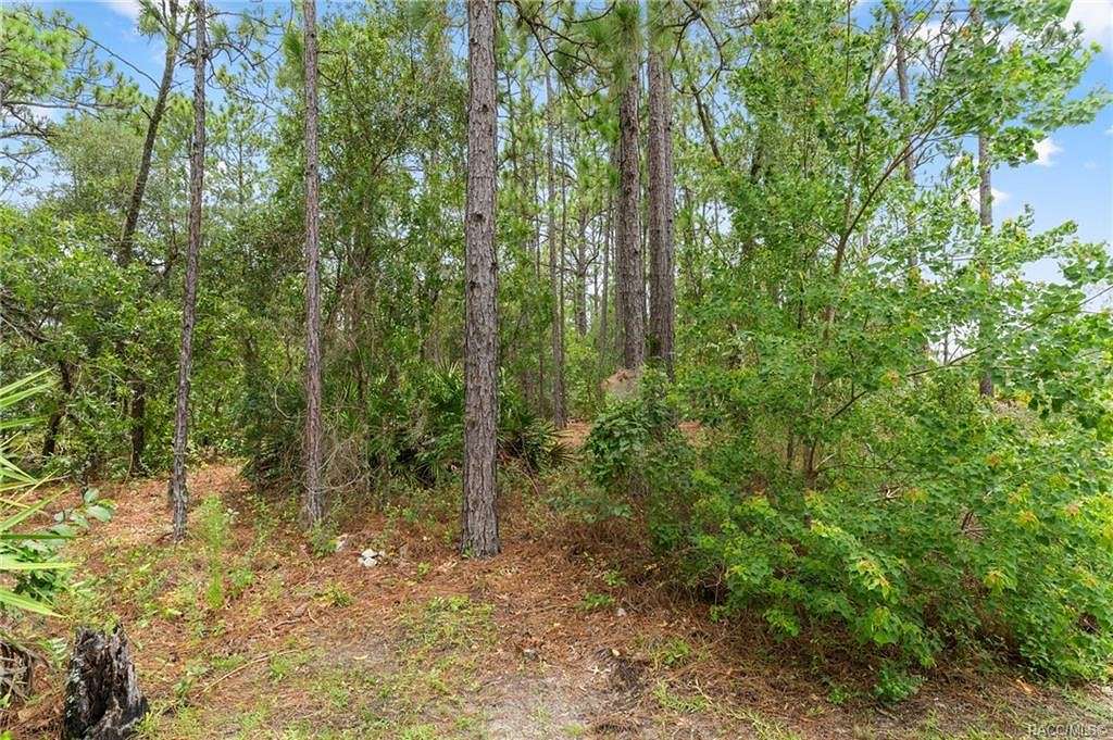 0.38 Acres of Residential Land for Sale in Dunnellon, Florida