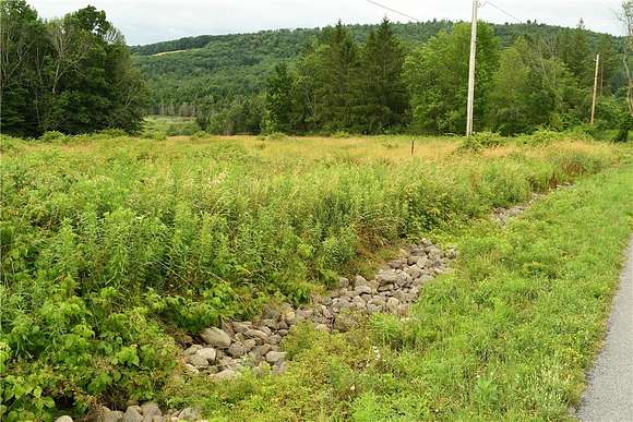 5.25 Acres of Residential Land for Sale in Unadilla, New York