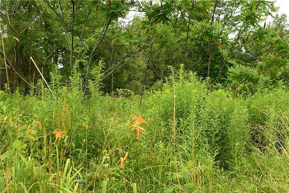 5.25 Acres of Residential Land for Sale in Unadilla, New York