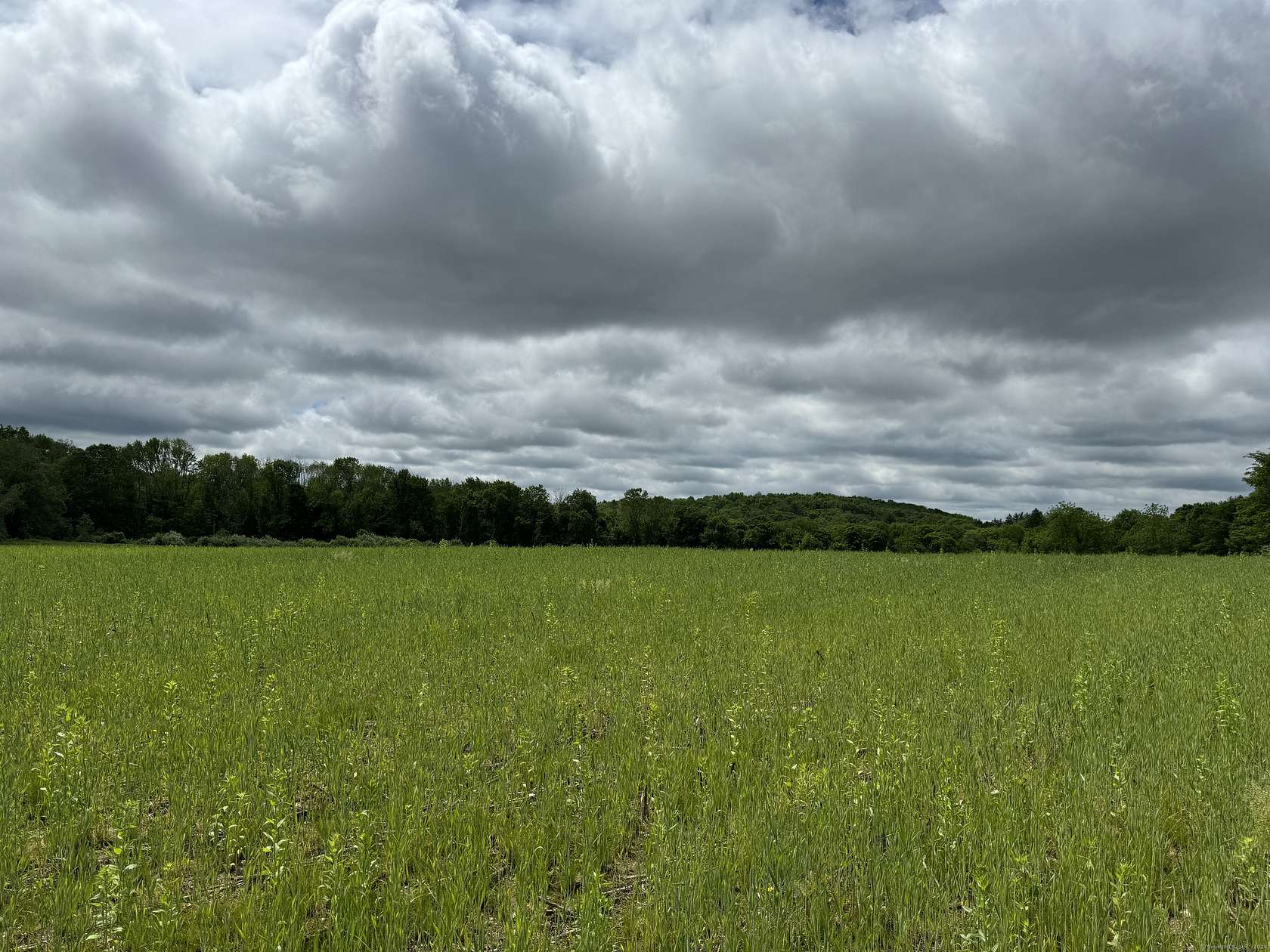 111.2 Acres of Agricultural Land for Sale in Woodstock, Connecticut