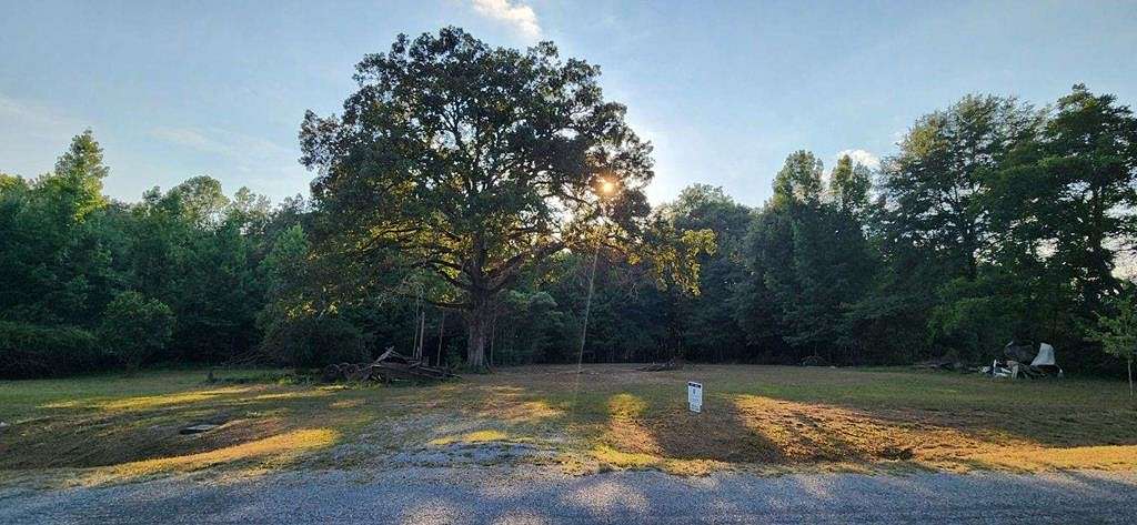 3 Acres of Mixed-Use Land for Sale in Grady, Alabama