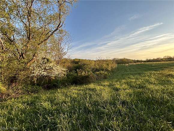 70 Acres of Recreational Land & Farm for Sale in Newport, Ohio