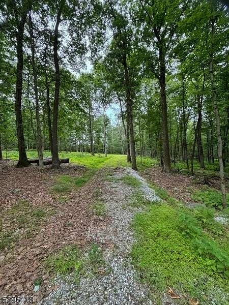 7.75 Acres of Residential Land for Sale in Blairstown Township, New Jersey