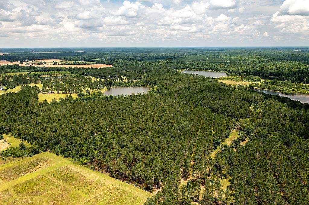10.618 Acres of Land for Sale in Leesburg, Georgia