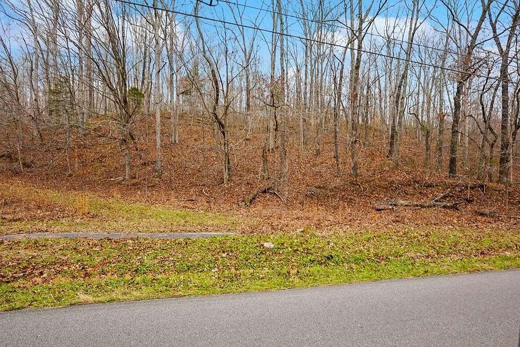 23 Acres of Recreational Land for Sale in Dover, Tennessee