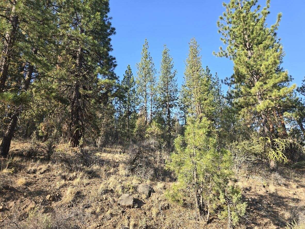 2.89 Acres of Residential Land for Sale in Beatty, Oregon